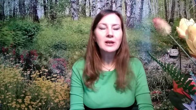 МИЛОСЕРДИЕ, СОСТРАДАНИЕ, ЖАЛОСТЬ. смотреть онлайн