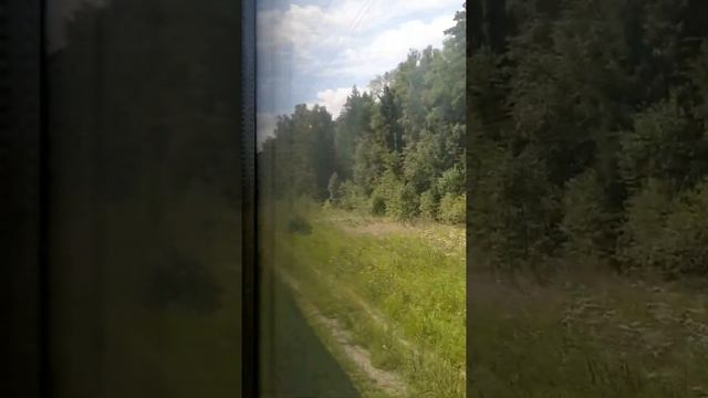 Киевское направление|Бекасово-1 - Обнинское из окна ЭП2Д-0005. смотреть онлайн