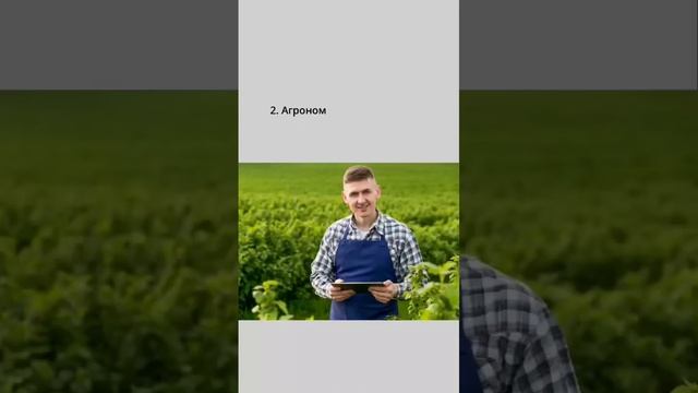 Самые востребованные профессии в сельском хозяйстве и агропроме смотреть онлайн
