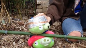 Angry Birds Toons Plush Version Season 1 Episode 4  Another Birthday