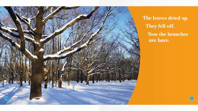 Plants In Winter (Bullfrog Books) | Reading Books For Kids смотреть онлайн