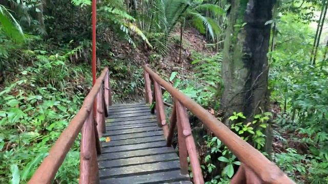 Водопад Kawasan на острове Bohol смотреть онлайн