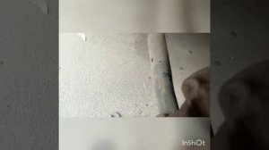 замена приводов freelander2, почему текут сальники!