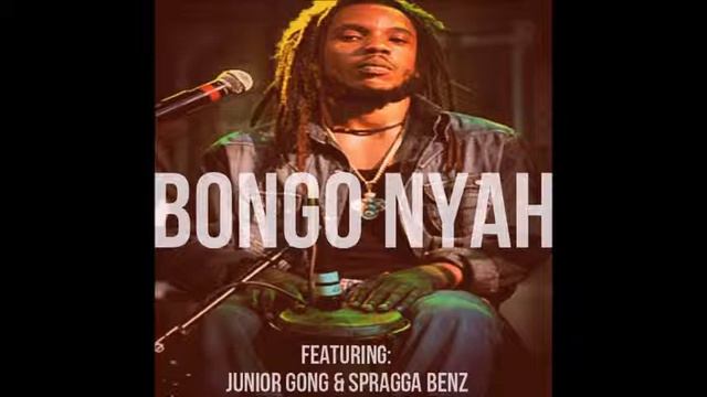 Stephen Marley x Junior Gong x Spragga Benz - Bongo Nyah (The Kemist RMX) (Feb. 2015) смотреть онлайн
