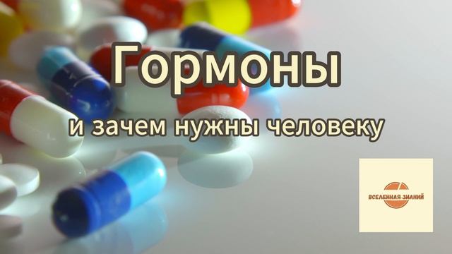 024 гормоны