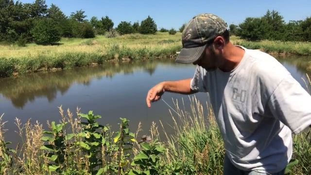 How to Catch, Clean and Cook a Snapping Turtle! PT 1 смотреть онлайн