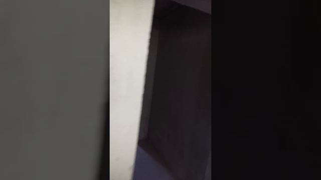 Планировка двухкомнатной квартиры серия М464М-9 (раздельные комнаты) смотреть онлайн