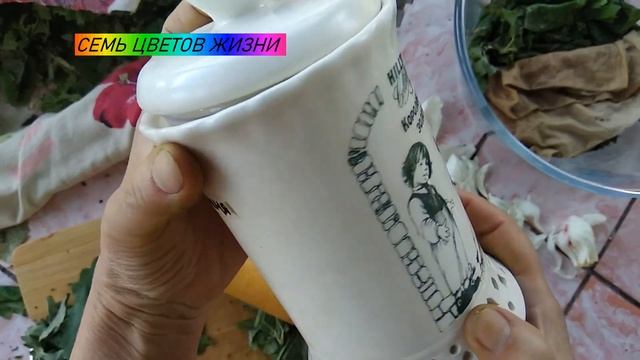 Рецепты Здорового Питания