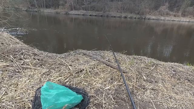 Рыбалка в Беларуси весной на реке Свислочь смотреть онлайн