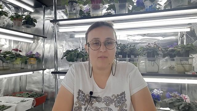 Путь цветущей Фиалки! 2 года каналу! смотреть онлайн