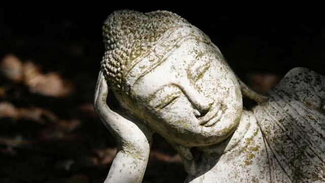 Buddha's Flute | Serene Garden смотреть онлайн