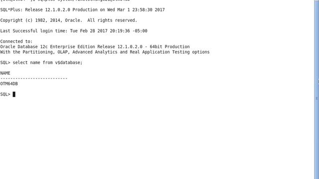 OTM 6.4.2 Installation Guide (Oracle Linux 6.3) - Part 13 - Test Database Connectivity (User - otm) смотреть онлайн