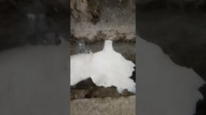 Гидроизоляция в подвале от грунтовых вод Альпика сервис 1100