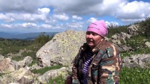 Родиола розовая (Золотой корень) полезные свойства и противопоказания.