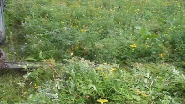 Сенокос т40 кзн 2.1 смотреть онлайн