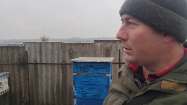 КОГДА ПЧЁЛЫ ПОГИБАЮТ НА ГЛАЗАХ И НИЧЕГО НЕЛЬЗЯ СДЕЛАТЬ причины сильной осыпи пчёл в зиму ☝️🐝🐝 смотреть онлайн