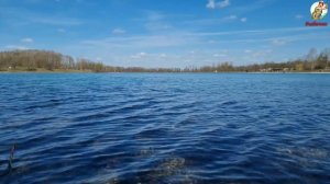 Ловля плотвы весной . Как ловить плотву весной.Где искать плотву на водоеме весной.