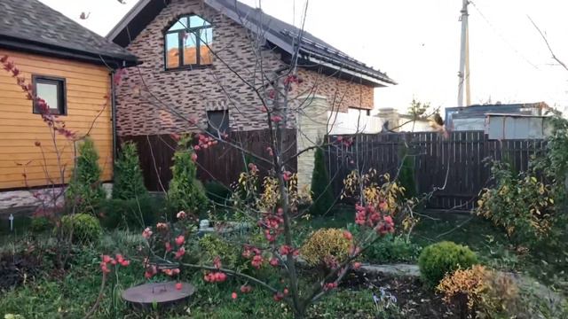 ОСЕННИЕ ХЛОПОТЫ. 07.11.2020 смотреть онлайн