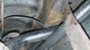 Как снять топливный бак ford mondeo 3 2.0tdci как открутить, поменять .