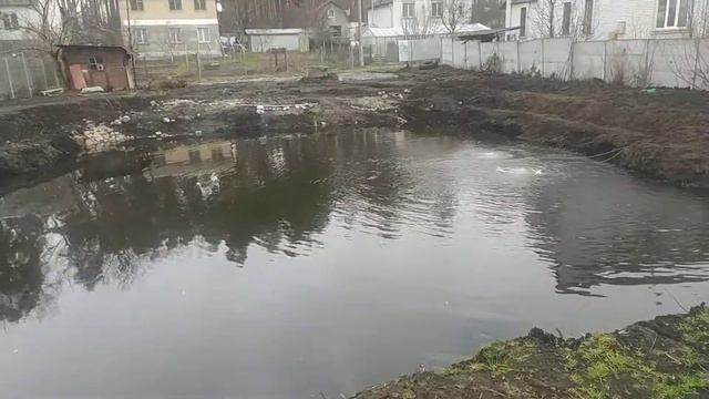 Сапролегниоз смотреть онлайн