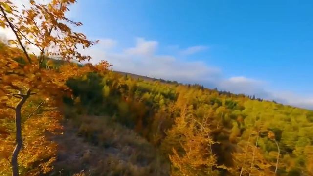 ТОЛЬКО ОСЕНЬ. смотреть онлайн