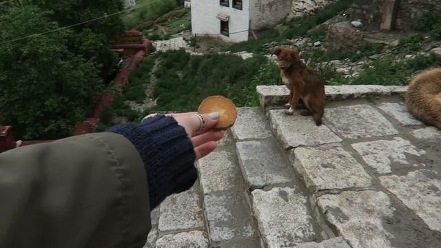 Кислородный баллон и Туалеты в Тибете | Влог Обыкновенный смотреть онлайн