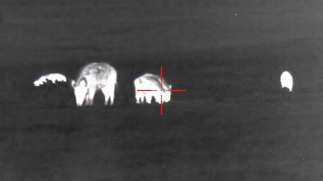 ATN MARS 4 640 2,5-25x смотреть онлайн