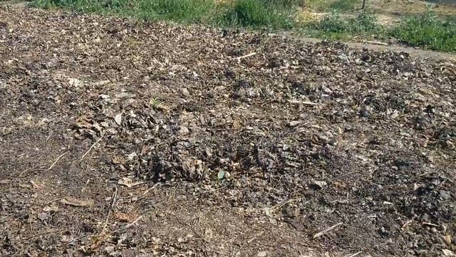 Сделай Себя Лучше