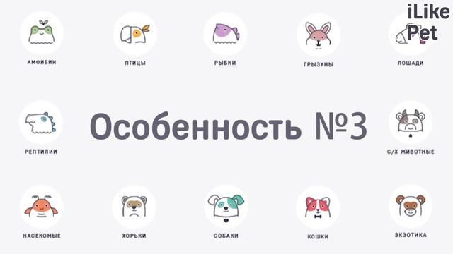 5 особенностей ухода за английским бульдогом смотреть онлайн