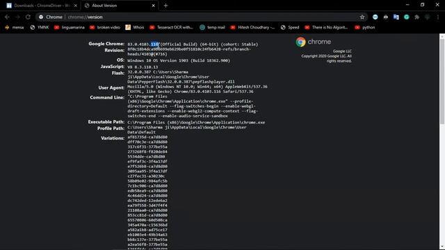 How to install Chrome webdriver to PATH смотреть онлайн
