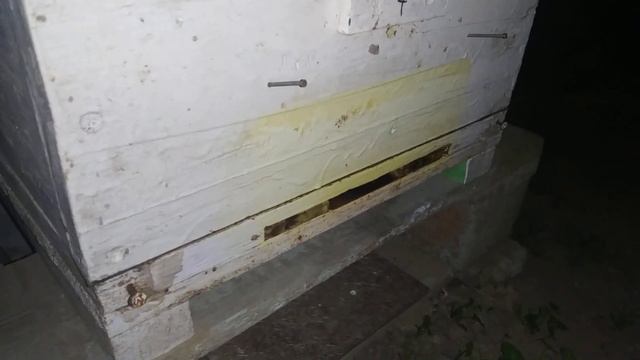 Вот он звук апрельского меда :) смотреть онлайн