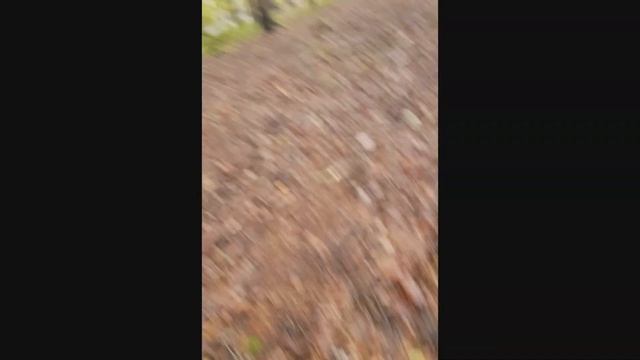На электричках Specialized по Карловым Варам и окрестностям. смотреть онлайн