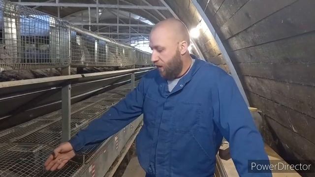Про Белых Кроликов смотреть онлайн
