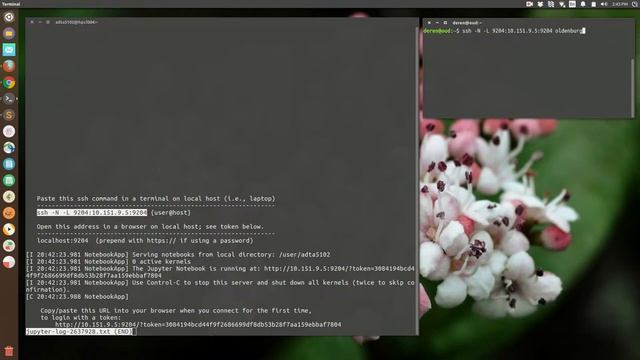 using jupyter on HPC смотреть онлайн