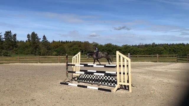 Horse-jumping.dk смотреть онлайн