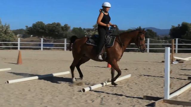 Weight Loss Camps | Camp Shane California Horseback Riding смотреть онлайн