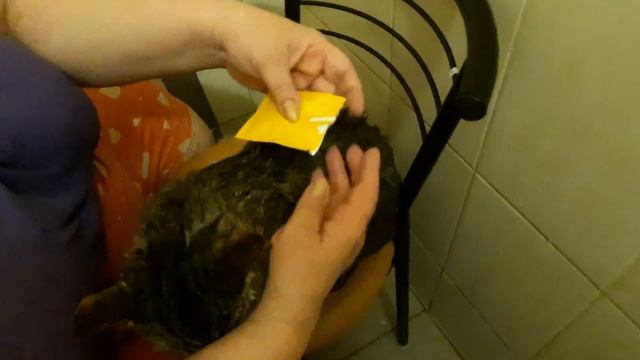 СМЕШНЫЕ КОТ И КОШКА В ВОДЕ смотреть онлайн