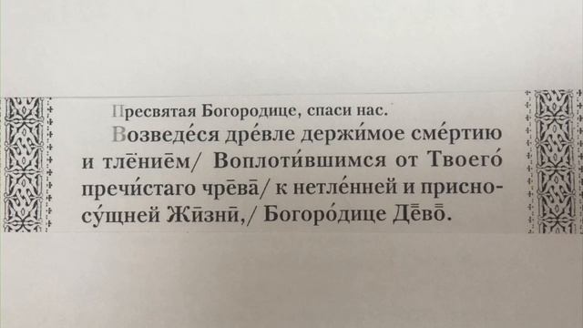 Канон Пасхи + Богородичны (обиход) второй голос смотреть онлайн