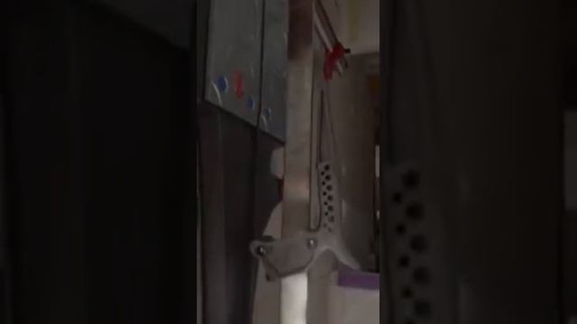 Плиткорез montolit masterpiuma 63P3 и 220 вольт смотреть онлайн