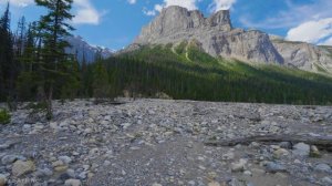 2 HRS Virtual Walk around Emerald Lake, Yoho National Park - 4K Nature Walking Tour + Birds Chirpin