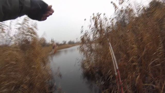 ASPEN STAKE AS602ULT (ტესტირება) Test. смотреть онлайн