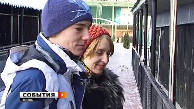 У мамы-пумы родился детеныш смотреть онлайн