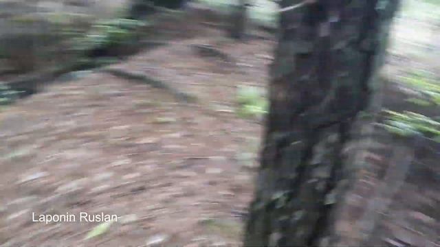 Могильник БРАТКОВ из 90х. смотреть онлайн