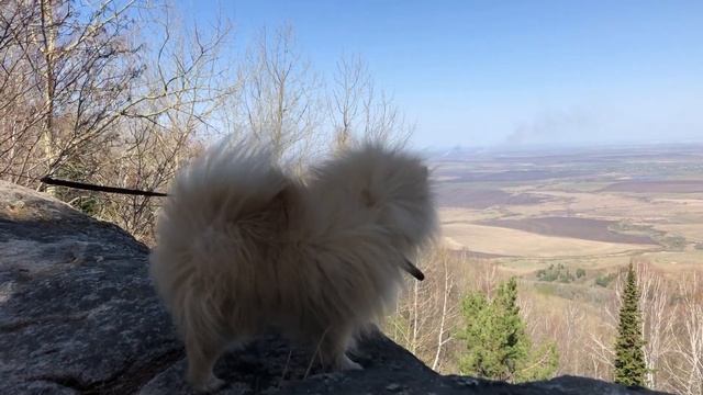 БЕЛОКУРИХА-2. АЛТАЙ. Вид с горы. смотреть онлайн