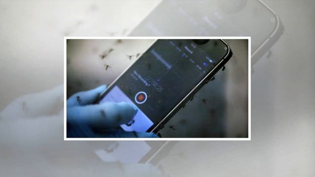 How a $10 microchip turns 2-d ultrasound machines into 3-d imaging devices смотреть онлайн