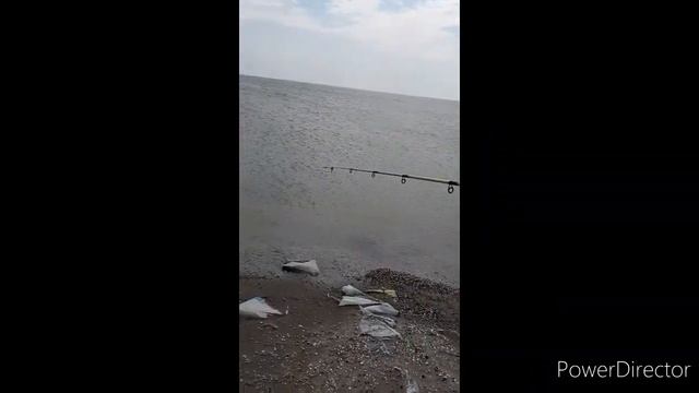 Balıq ovu 2020-Hövsan.Uğurlu .Рыбалка в Говсанах 2021? смотреть онлайн