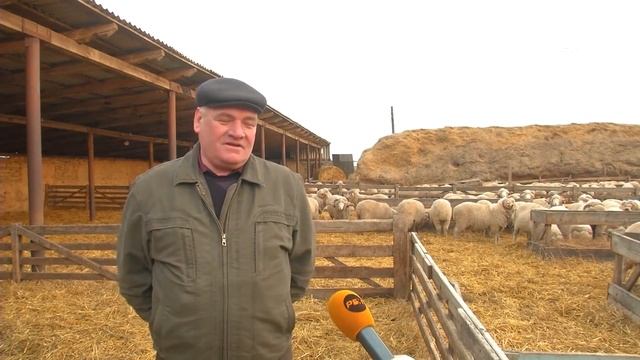 КУДРЯВЫЙ ГОД смотреть онлайн