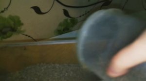 Бункерная кормушка для перепелов