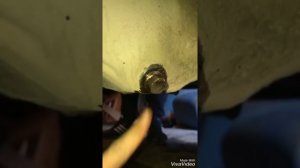 Как поменять масло Приора. Замена масла Приора.