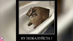 все мемы  про Шлёпу в 2022 году